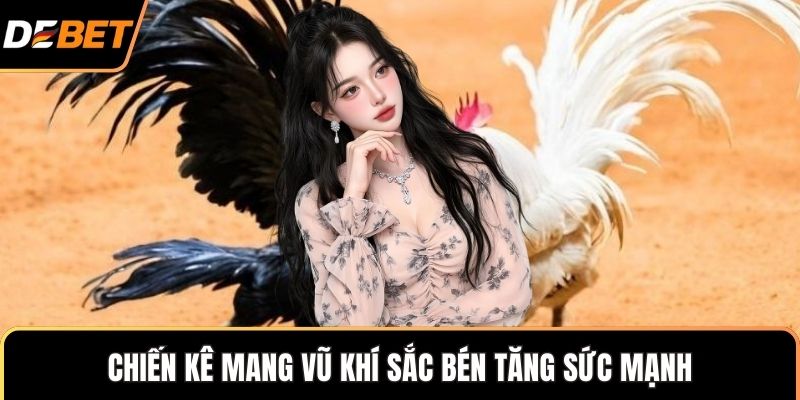 Chiến kê mang vũ khí sắc bén tăng sức mạnh