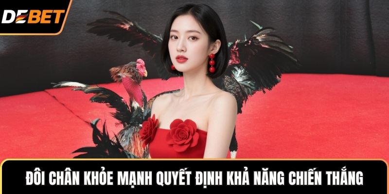 Đôi chân khỏe mạnh quyết định khả năng chiến thắng