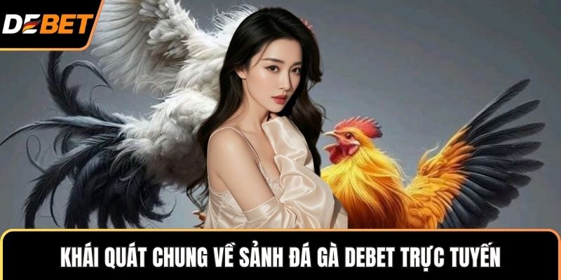 Khái quát chung về sảnh đá gà Debet trực tuyến