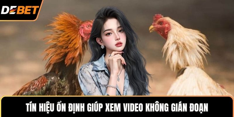 Tín hiệu ổn định giúp xem video không gián đoạn